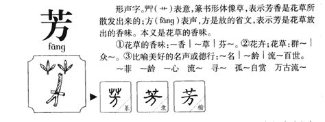 芳五行|芳的意思，芳字的意思